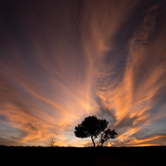 Atardecer y olvio