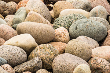 Angespülte Steine am Strand