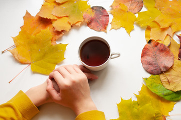 two hands holding a white mug of tea on a background of yellow maple leaves. top view