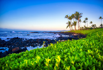 Fototapeta na wymiar Sunrise over the coast of Kauai, Hawaii.
