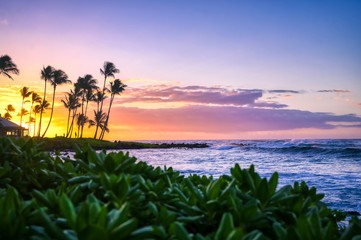 Sunrise over the coast of Kauai, Hawaii. - obrazy, fototapety, plakaty