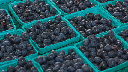 Blueberries