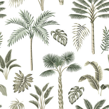 Tropical vintage palm trees, banana tree, palm leaves floral seamless pattern white background. Exotic jungle wallpaper.