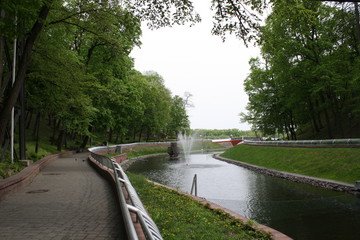 pond for swangs in a city park