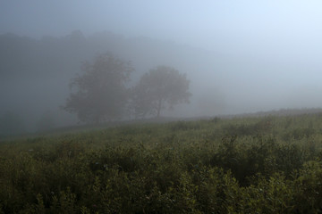 Fototapeta na wymiar fog in the mountains under moonlight