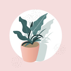 plant illustration. potted house plant vector. botanical art print. geometric background.