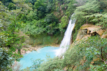 Fototapeta na wymiar Amazing waterfall in san luis potosi, Mexico, seen from above