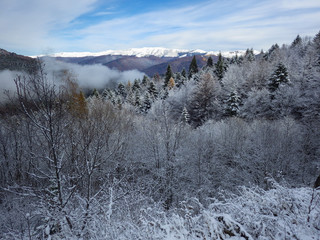 Panoramic landscape of carpathian mountains and forest in winter season in Transylvania, Romania