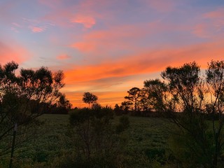 Fototapeta premium sunset background