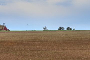 Obraz premium field is ready sowing. Spring Central Sweden.