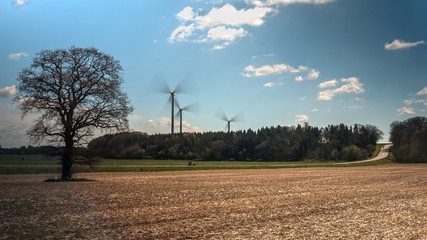 Bare trees in an un sown field waiting for warm with wind turbines generating electricity on the background in spring. central sweden. long exposure