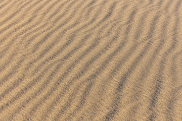 Fototapeta na wymiar Sand Texture. Background from fine sand. Sand background
