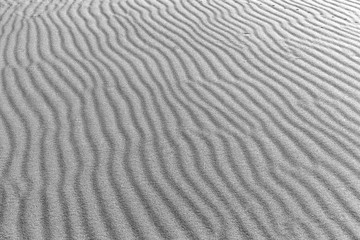 Sand Texture. Background from fine sand. Sand background