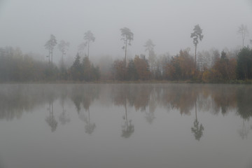 Reflections of trees in a lake on a misty day