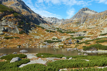 The beautiful lake Pleso nad Skokom in High Tatras National Park with peaks in the background, in Slovakia © andras_csontos