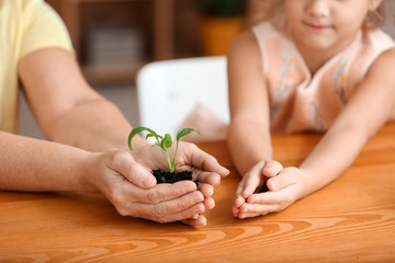Obraz premium Hands of grandmother and little girl with young plant and soil, closeup