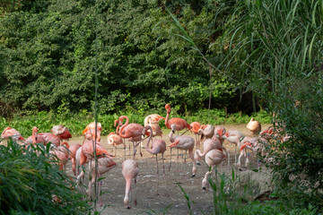 Prague ZOO