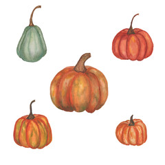 Watercolor set of five different pumpkins on white background. Hand drawn. Perfect design for textile, invitations, banners, greeting cards, event projects, posters.