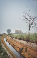 Autumnal landscape with irrigation water canal