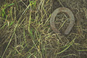 Old Horseshoe or Cow Shoe on the ground of a field