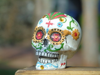 Calavera Mexicana