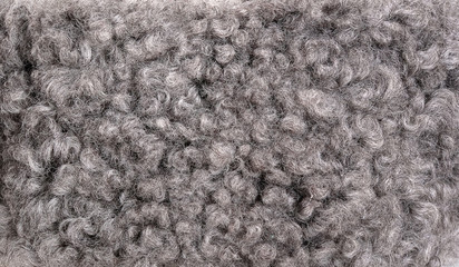 Beautiful background from gray natural fur (karakul)