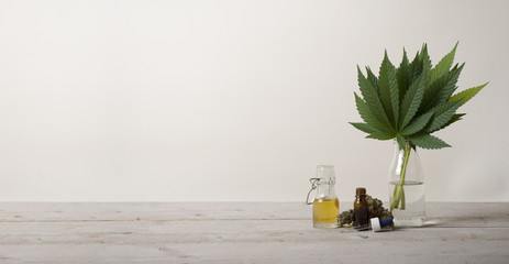 banner showing CBD oil in glass bottle, Cannabis sativa marijuana weed leaves and dropper bottle,...