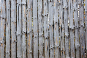Background texture of old grey wooden fence from whole logs with  knots. Shabby fence.