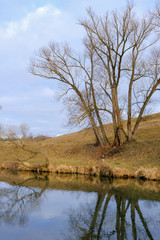 Landscape. Trees and dry grass along the shore of a small river in late autumn.