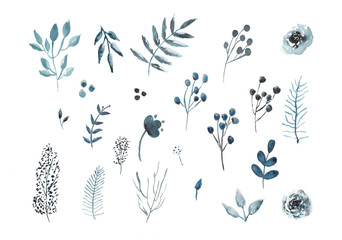 Hand drawn collection of plants, branches, leaves and flowers on white background. Watercolor spring and summer colorful illustration. Set of different herbal and floral elements in a watercolor.