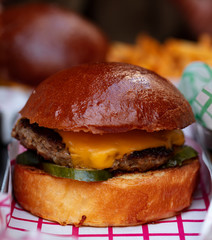 Fresh tasty burger
