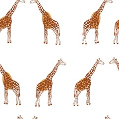 Hand drawn giraffes on white background. Vector seamless pattern.