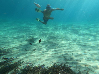 Fototapeta na wymiar underwater man snorkeling in the sea withcrystal-clear waters concept of holiday relax summer beach diver in the sea