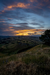 Obraz premium Amazing sunset at the top of the Te Mata Peak. Vertical photography. Hastings, Hawke's Bay. New Zealand.