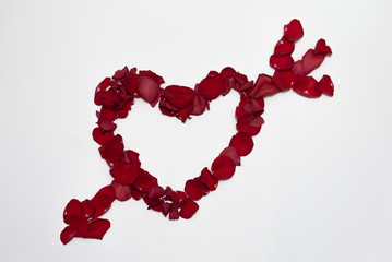 Red heart of rose petals isolated on white background