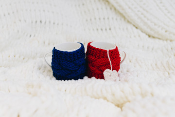 Two cups, blue and red, wrapped in warm wool isolated on blanket for Valentines day