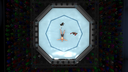 Knocked out cage fighter laying down in octagon ring 3d render
