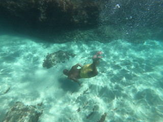 Naklejka na ściany i meble Diver in the sea of mallorca concept of summer beach and holiday 
