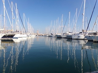 yachts in the marina