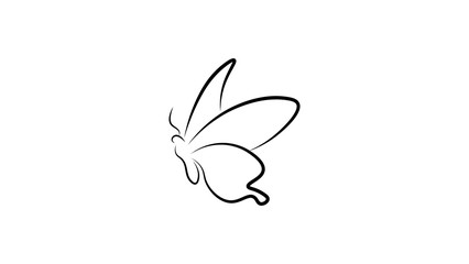 Graphic icon of butterfly, Butterfly vector isolated on white background,