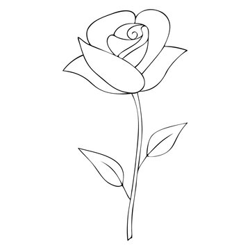 The rose blossomed. A fragrant flower. Vector. Colorless background. Coloring book for children. Illustration for Valentine day. Holiday sketch.