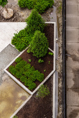 Abstract of garden planter boxes seen from above