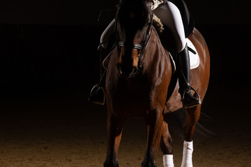 Horse dressage with rider in heavy class outfit with curb in the riding hall. Photographed with...