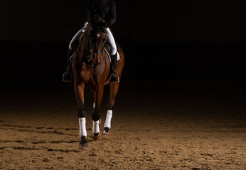 Horse dressage with rider in the dress of the heavy class in a trot with curb part. Photographed from the front with a flash in the riding hall, space for text on the right..