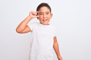 Beautiful kid boy wearing casual t-shirt standing over isolated white background smiling and confident gesturing with hand doing small size sign with fingers looking and the camera. Measure concept.