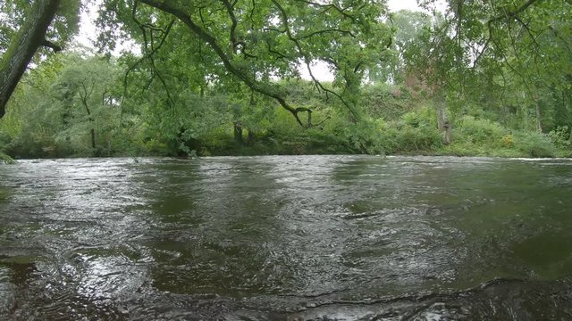 Dip under flooding river in forest to murky water below