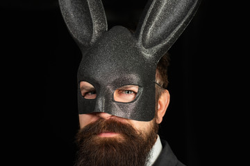Handsome man in carnival mask ballroom rabbit with long ears sensual on a black background. Serious...