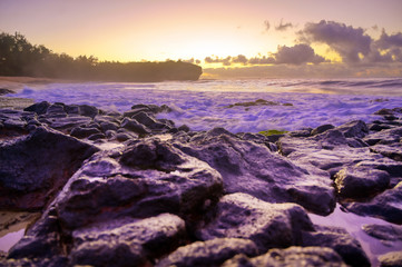 The sunrise over the beach in Kauai, Hawaii