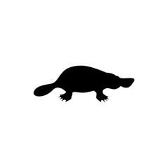 vector illustration of platypus