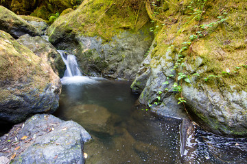 Small california rainforest creek waterfall .
